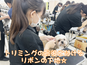 リボンの下地、ラッピングを強化！